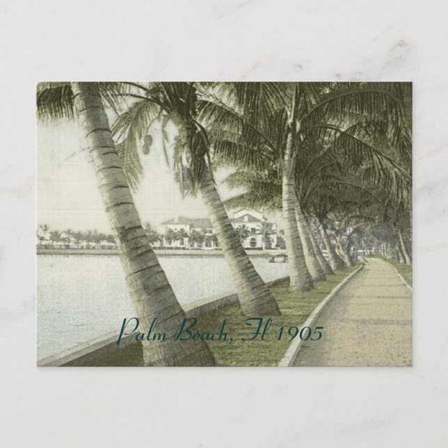 Carte postale Palm Beach 1905 (Devant)