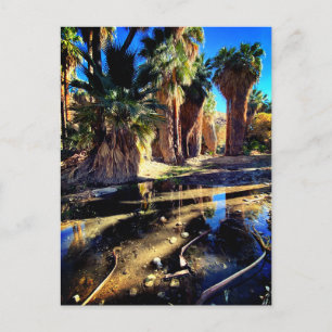 Carte Postale Palm Canyon Californie
