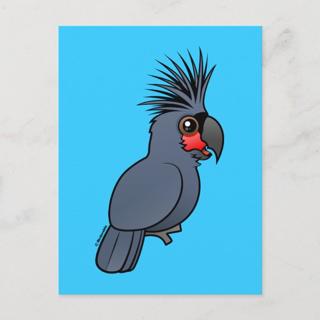 Carte Postale Palm Cockatoo (Devant)