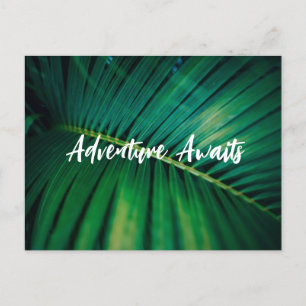 Carte postale Palm Leaf