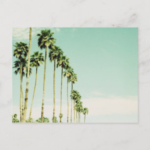 Carte Postale Palm Springs