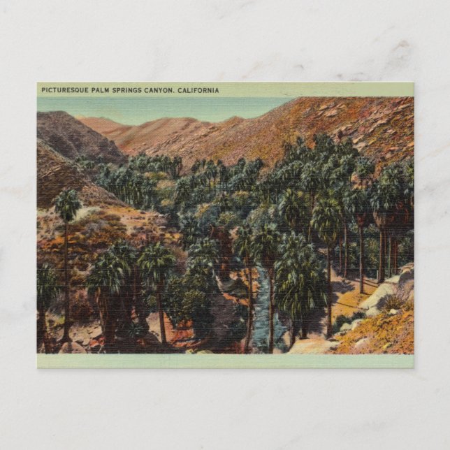 Carte Postale Palm Springs Canyon, Californie (Devant)