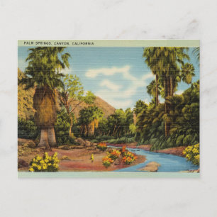 Carte Postale Palm Springs Canyon, Californie