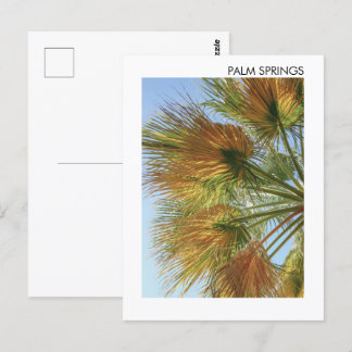 Carte Postale Palm Springs Palm Trees et Palm Fronds