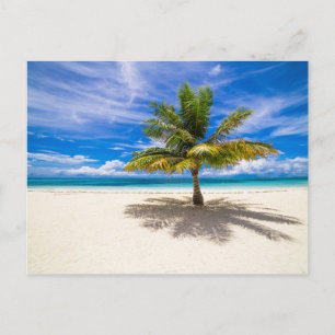 Carte Postale Palm sur la plage de sable blanc