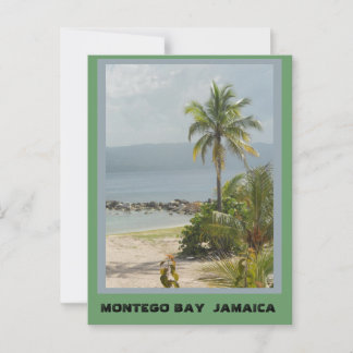 Carte Postale Palm Tree, Montego Bay Jamaica