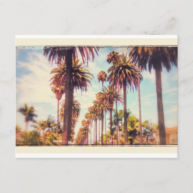 Carte postale Palm Tree vintage (Devant)