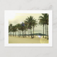 Carte postale Palm Trees Beach