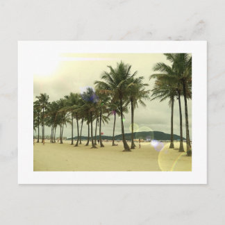 Carte postale Palm Trees Beach