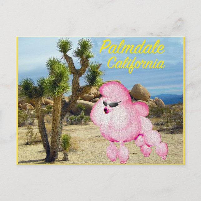Carte postale Palmdale California Pink Poodle (Devant)