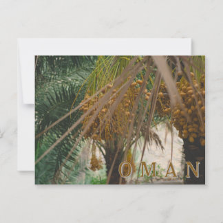 Carte Postale Palmier dattier d'Oman