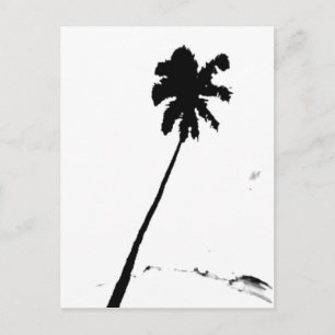 Carte Postale Palmier exotique