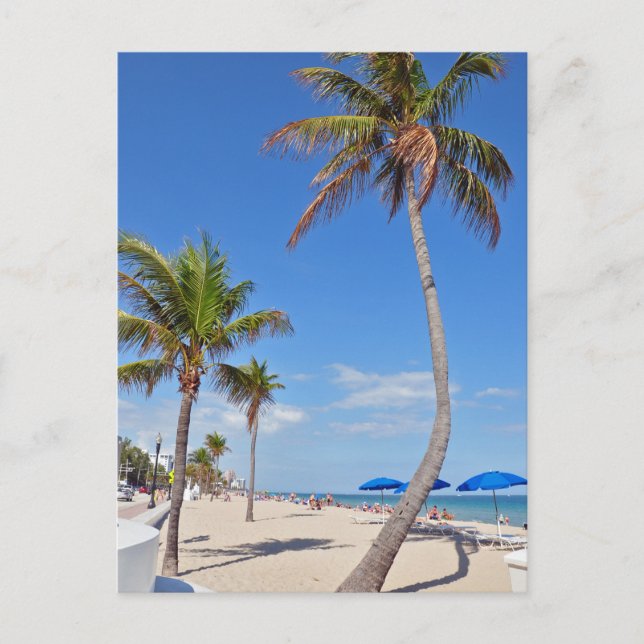 Carte Postale Palmier sur la plage (Devant)