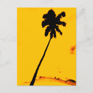 Carte Postale Palmier tropical