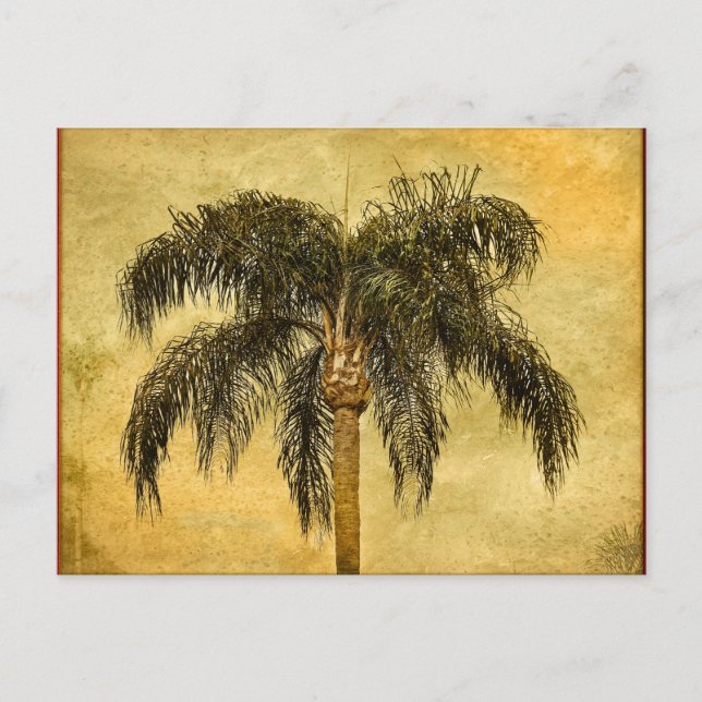 Carte Postale Palmier tropical vert Palmier Vintage hawaïen Palm (Devant)