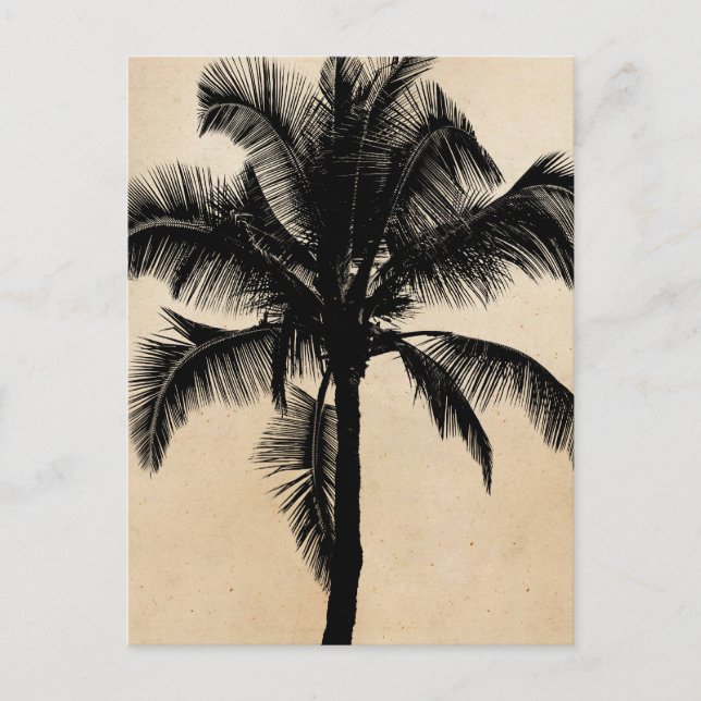 Carte Postale Palmier tropicale hawaïenne rétro Silhouette Noir (Devant)