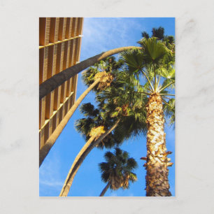 Carte Postale palmiers