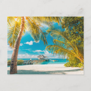 Carte Postale Palmiers au coucher du soleil