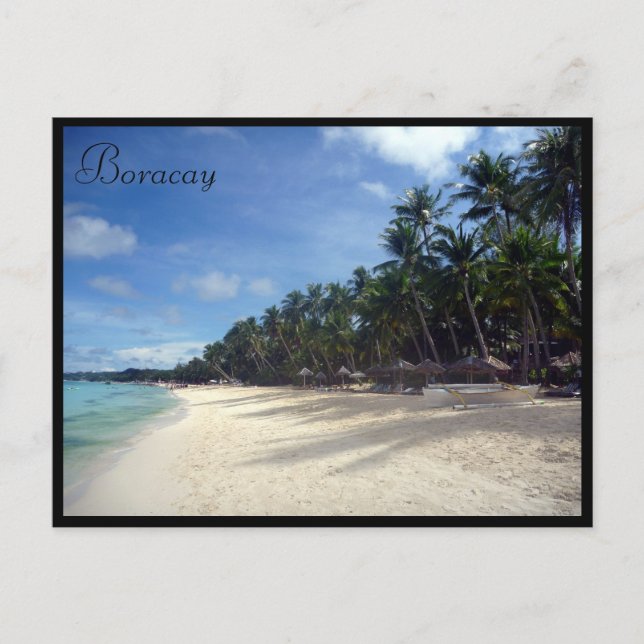 Carte Postale palmiers boracay (Devant)