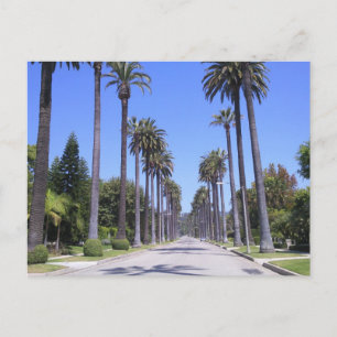 Carte Postale Palmiers dans une rue de Los Angeles