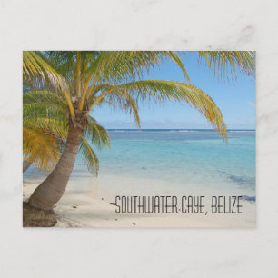 Carte Postale Palmiers de Belize et paysage de la mer des Caraïb