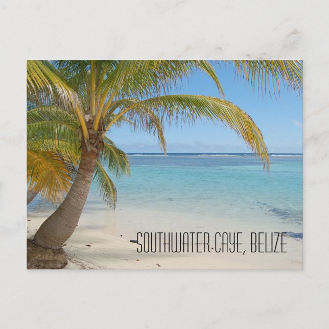 Carte Postale Palmiers de Belize et paysage de la mer des Caraïb (Devant)