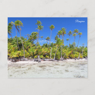 Carte Postale Palmiers de Rangiroa