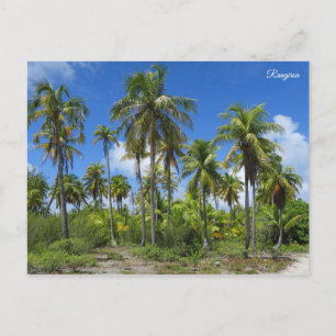 Carte Postale Palmiers de Rangiroa