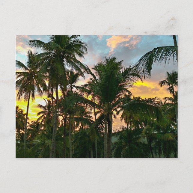 Carte Postale Palmiers Hawaiian Exotic Beach (Devant)