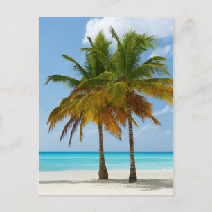 Carte Postale Palmiers Hawaiian Exotic Beach