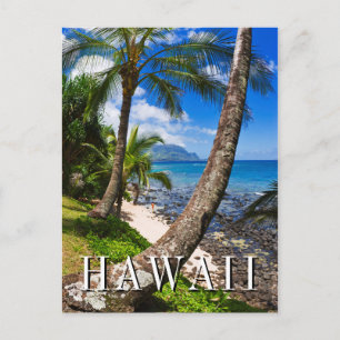 Carte Postale Palmiers le long de la plage de Hideaways