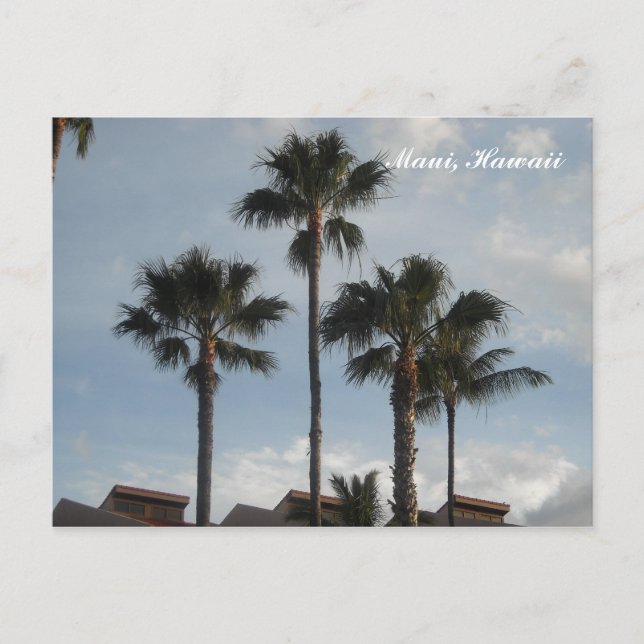 Carte Postale Palmiers Maui Hawaii (Devant)