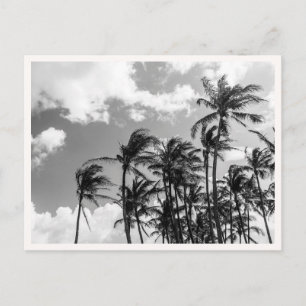 Carte Postale Palmiers Noir & Blanc à Hawaï Photo de Vœux