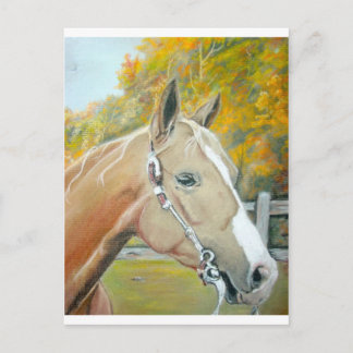 Carte Postale Palomino, Cheval pastel