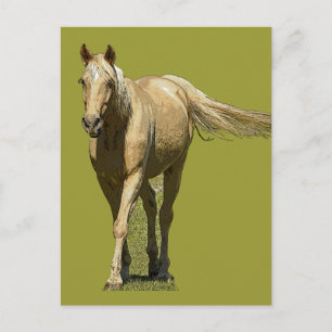 Carte Postale Palomino Horse Postcard