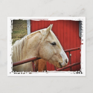 Carte Postale Palomino Horse Rouge Grange Rouge Porte blanche