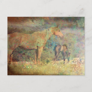 Carte Postale Palomino Mare et Foie