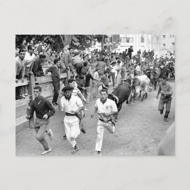 Carte Postale Pampelune Espagne Courir des taureaux (Devant)