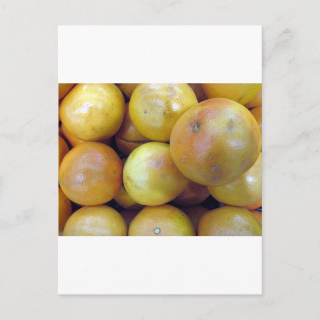 Carte Postale Pamplemousse rose (Devant)