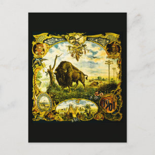 Carte Postale Pan Am Expo avec motifs de bisons et amérindiens