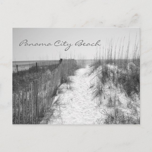 Carte Postale Panama City Beach Access Noir & Blanc (Devant)