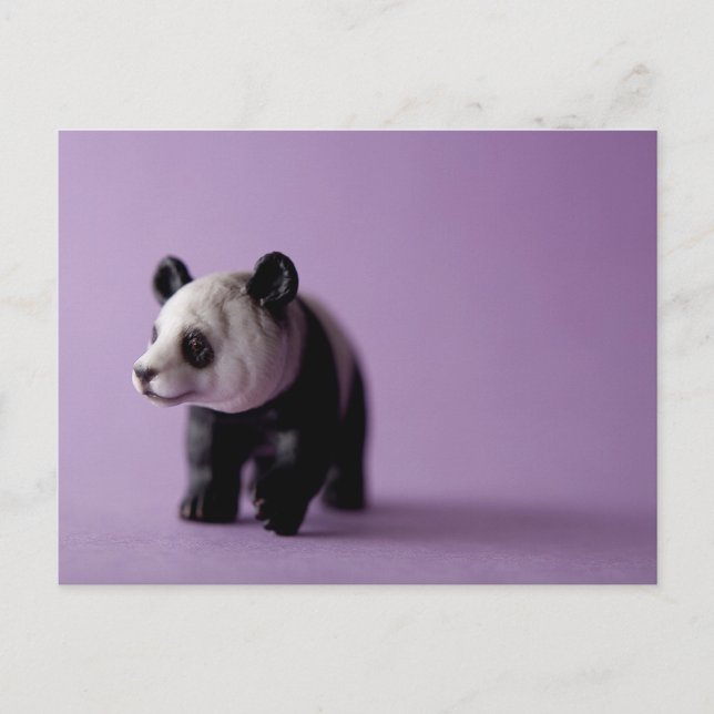 Carte postale Panda (Devant)