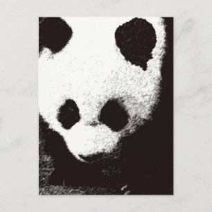Carte Postale Panda