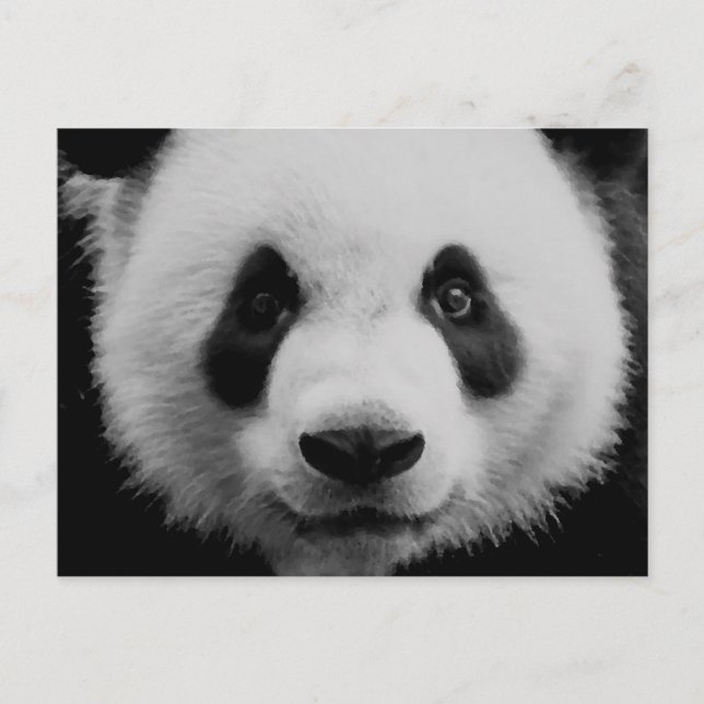 Carte Postale Panda (Devant)