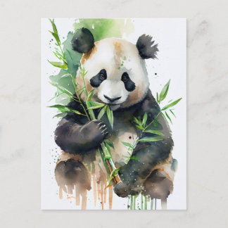 Carte Postale Panda à fourrure noire et blanche.