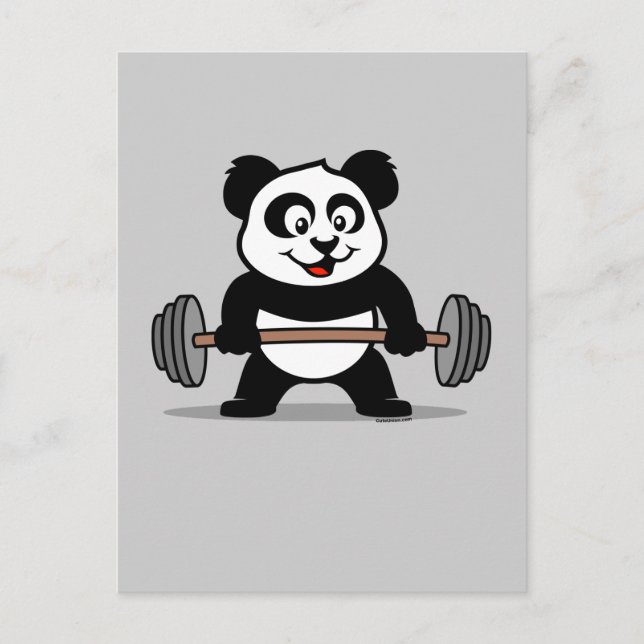 Carte Postale Panda d'haltérophilie (Devant)