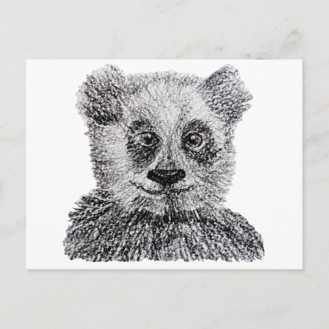 Carte postale Panda Drawing (Devant)