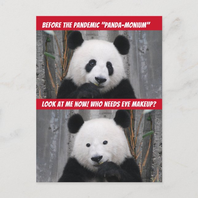 Carte Postale Panda-Monium pandémique avant et après (Devant)