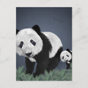 Carte Postale panda ours mignon animal câlin noir blanc doux