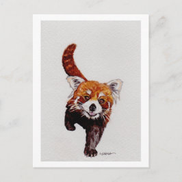 Carte Postale Panda rouge